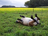 Bild 025